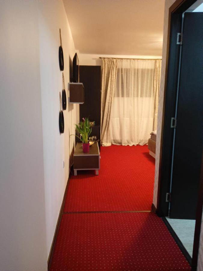 Karina House Apartment Brasov Exterior photo